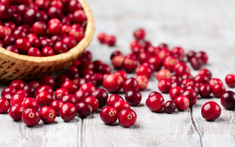 Cranberries Are Not Effective In Preventing Urinary Tract Infections