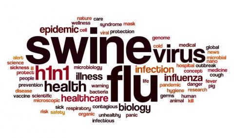 Swine Flu- Risk