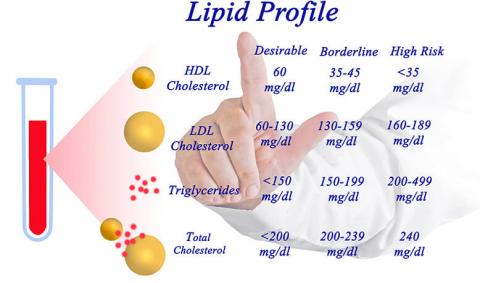 When and Why You Should Go for the Lipid-Profile Test