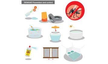 Protect Yourself from Dengue Fever