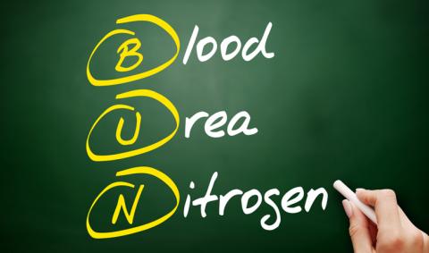 Blood Urea Nitrogen (BUN) Test