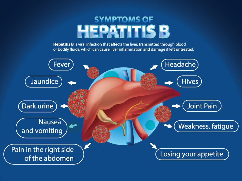 Hepatitis B: Causes, Symptoms, Transmission