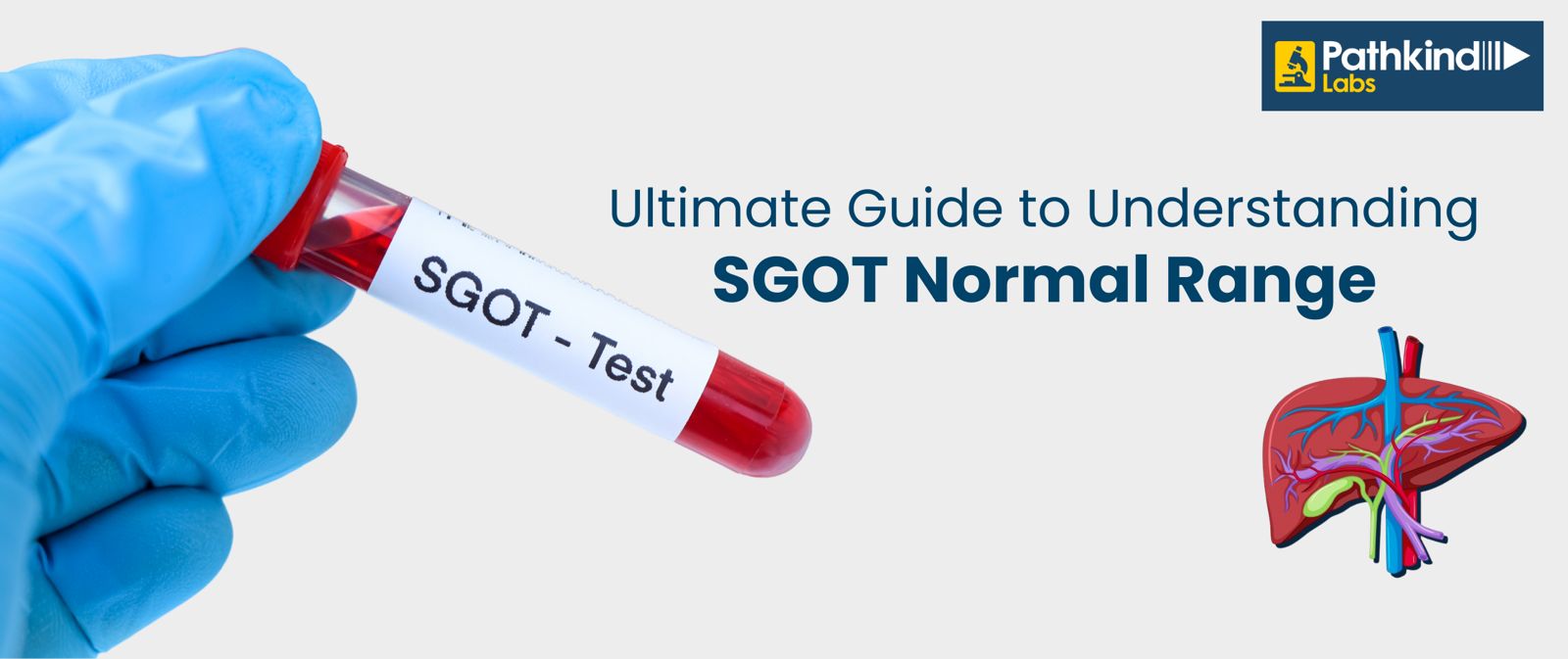 Ultimate Guide to Understanding SGOT Normal Range