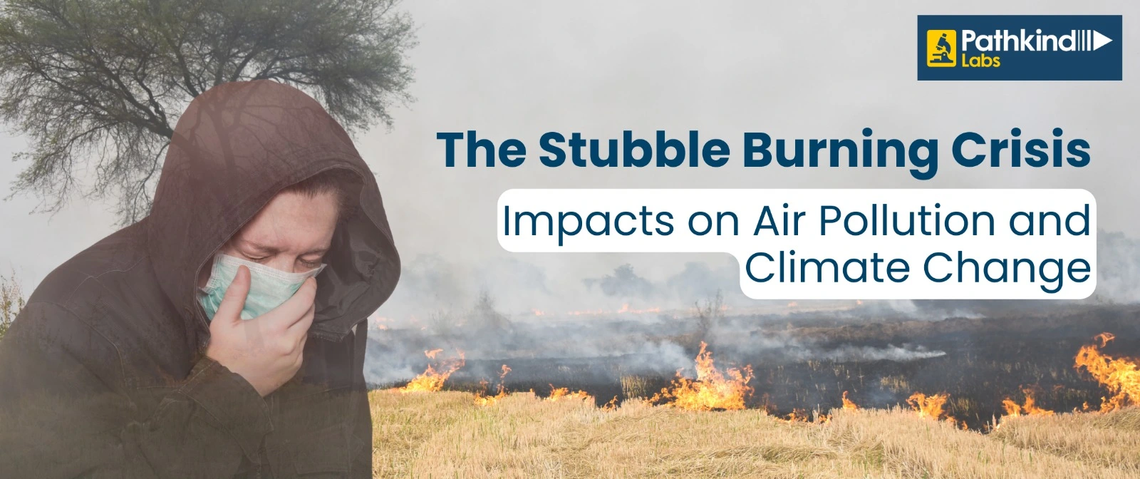 The Unseen Consequences of Stubble Burning on Our Planet