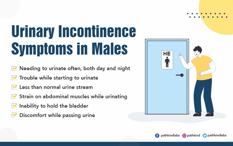 Urination Incontinence Symptoms in Males