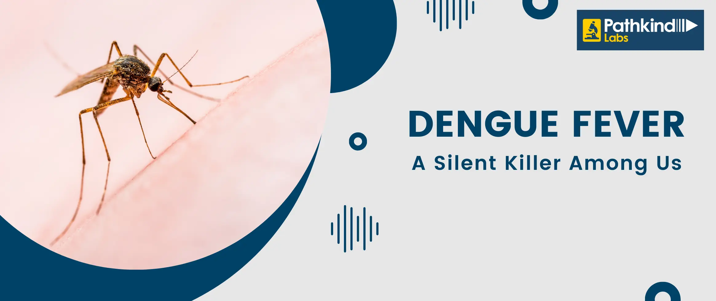 Is Dengue Fever a Silent Killer Among Us