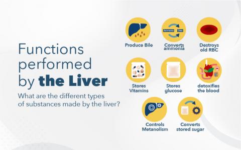 liver healthy with a Liver Function Test