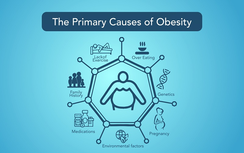 primary cause of obesity